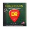 DR Strings Dragon Skin Phosphor Bronze Coated Acoustic Guitar Strings 10-48 Light (12-String)