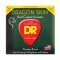 DR Strings Dragon Skin Phosphor Bronze Coated Acoustic Guitar Strings - .011-.050 Custom Light (2-pack)