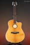 LR Baggs AEG-1 Acoustic Electric Guitar, Torrefied Sitka Spruce