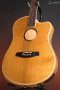 LR Baggs AEG-1 Acoustic Electric Guitar, Torrefied Sitka Spruce