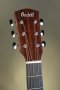Bedell 1964 Parlor Special Edition