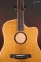 LR Baggs AEG-1 Acoustic Electric Guitar, Torrefied Sitka Spruce
