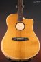 LR Baggs AEG-1 Acoustic Electric Guitar, Torrefied Sitka Spruce