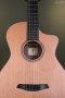 Furch Guitars GNc 2-CW - GNc Western Red Cedar/Black Walnut