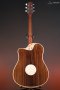 LR Baggs AEG-1 Acoustic Electric Guitar, Torrefied Sitka Spruce
