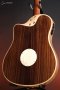 LR Baggs AEG-1 Acoustic Electric Guitar, Torrefied Sitka Spruce