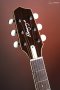 LR Baggs AEG-1 Acoustic Electric Guitar, Torrefied Sitka Spruce