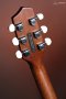 LR Baggs AEG-1 Acoustic Electric Guitar, Torrefied Sitka Spruce
