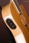 LR Baggs AEG-1 Acoustic Electric Guitar, Torrefied Sitka Spruce