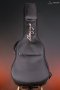 LR Baggs AEG-1 Acoustic Electric Guitar, Torrefied Sitka Spruce