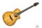 BREEDLOVE PURSUIT EXOTIC S CONCERT SWEETGRASS CE