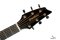 BREEDLOVE PURSUIT EXOTIC S CONCERT SWEETGRASS CE