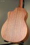 Furch Guitars Pioneer-EM a Engelmann spruce / African mahogany