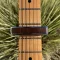 Thalia Rosewood | Exotic Wood Capo - Black Chrome