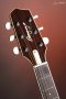 LR Baggs AEG-1 Acoustic Electric Guitar, Natural Engelmann Spruce Top