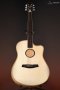LR Baggs AEG-1 Acoustic Electric Guitar, Natural Engelmann Spruce Top