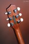LR Baggs AEG-1 Acoustic Electric Guitar, Natural Engelmann Spruce Top