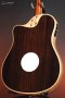 LR Baggs AEG-1 Acoustic Electric Guitar, Natural Engelmann Spruce Top