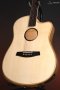 LR Baggs AEG-1 Acoustic Electric Guitar, Natural Engelmann Spruce Top