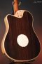 LR Baggs AEG-1 Acoustic Electric Guitar, Natural Engelmann Spruce Top