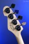Sandberg California TT4 Custom Highgloss Sonic Blue