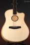 LR Baggs AEG-1 Acoustic Electric Guitar, Natural Engelmann Spruce Top