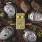 JHS Pedals Coyote