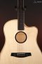 LR Baggs AEG-1 Acoustic Electric Guitar, Natural Engelmann Spruce Top