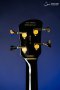 Spector Euro 4 Classic - Solid Black Gloss