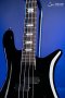 Spector Euro 4 Classic - Solid Black Gloss