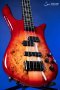 Spector Euro 4 Custom - Natural Red Burst Gloss