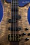 Spector Euro 4 Rex Brown Signature