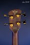 Spector Euro 4 Rex Brown Signature