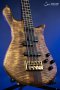 Spector Euro 4 Rex Brown Signature
