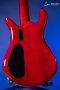 Spector Euro 5 Custom - Natural Red Burst Gloss