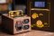 Amp RX The Brownbox 200 Series