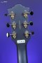 Guild Polara Deluxe Electric Guitar - Canyon Dusk