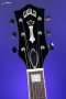 Guild Polara Deluxe Electric Guitar - Canyon Dusk