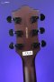 Guild Polara Limited Night Edition Electric Guitar - Vintage Walnut