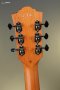 Guild D-240E Limited Flamed Mahogany Acoustic-Electric Guitar - Natural