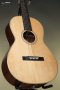 Guild P-240 Memoir Acoustic Guitar - Natural