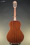 Guild P-240 Memoir Acoustic Guitar - Natural