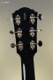 Guild DS-240E Memoir Acoustic-Electric Guitar - Black