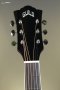 Guild F-250E Deluxe Acoustic-Electric Guitar - Antique Burst
