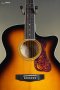 Guild F-250CE Deluxe Acoustic-Electric Guitar - Antique Burst
