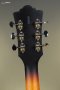 Guild F-250CE Deluxe Acoustic-Electric Guitar - Antique Burst