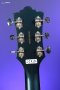 Guild Polara Deluxe Electric Guitar - Kingswood Green