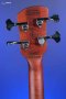 Spector Euro 4 RST - Sienna Stain