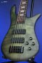 Spector Euro 5 LX - Haunted Moss Matte
