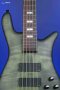Spector Euro 5 LX - Haunted Moss Matte